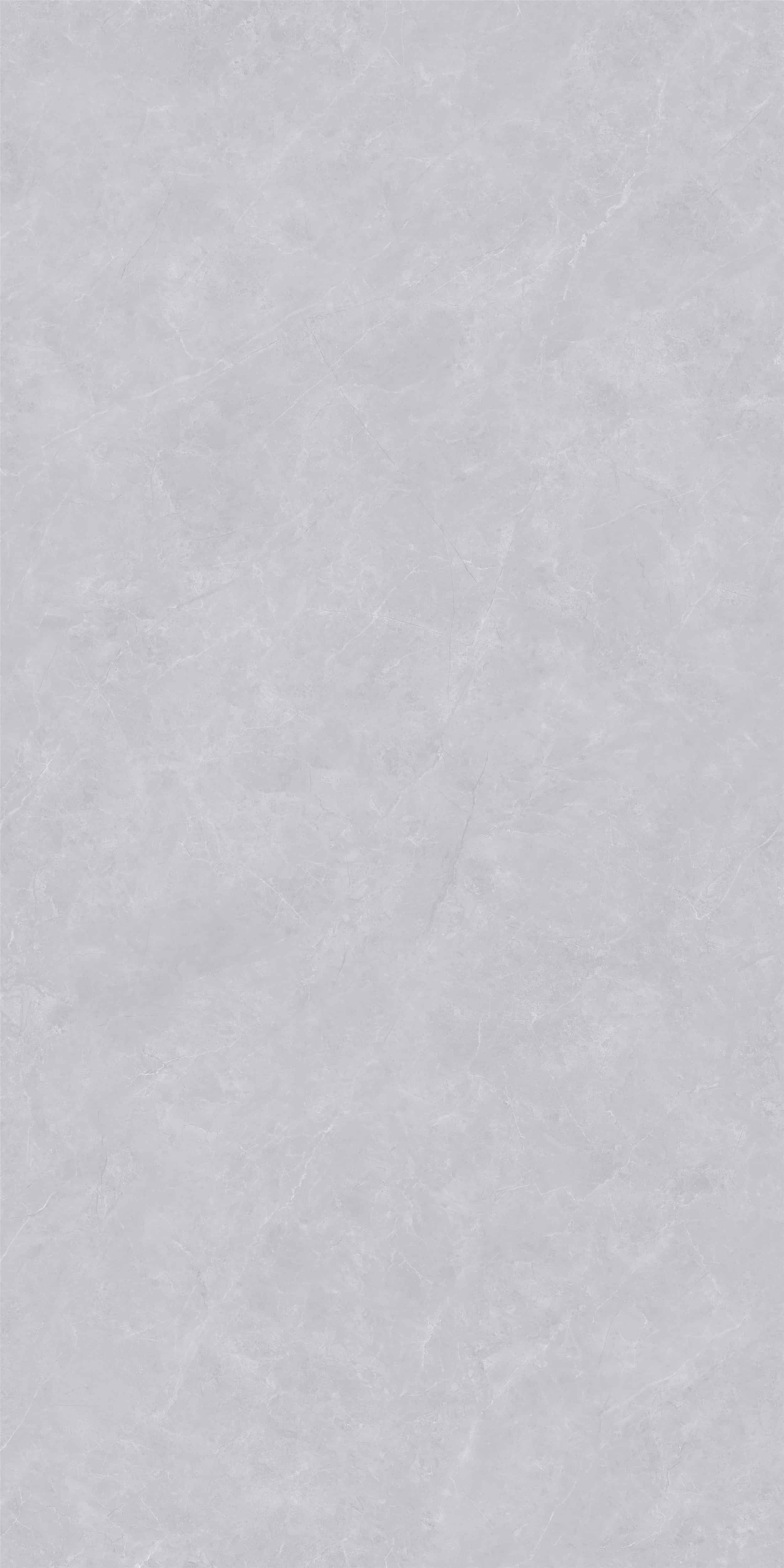 FV18942L_01