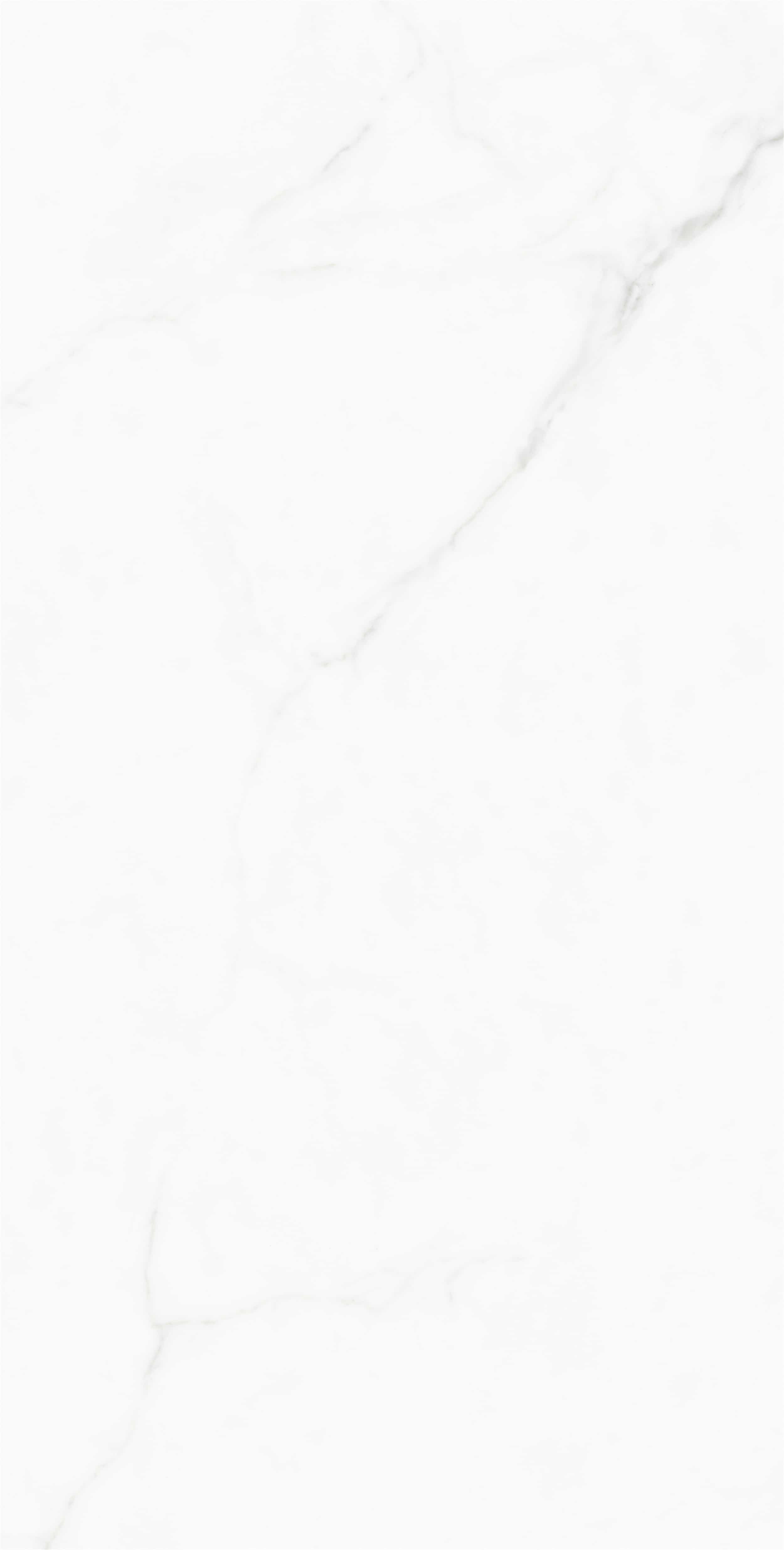 FV18945L_02