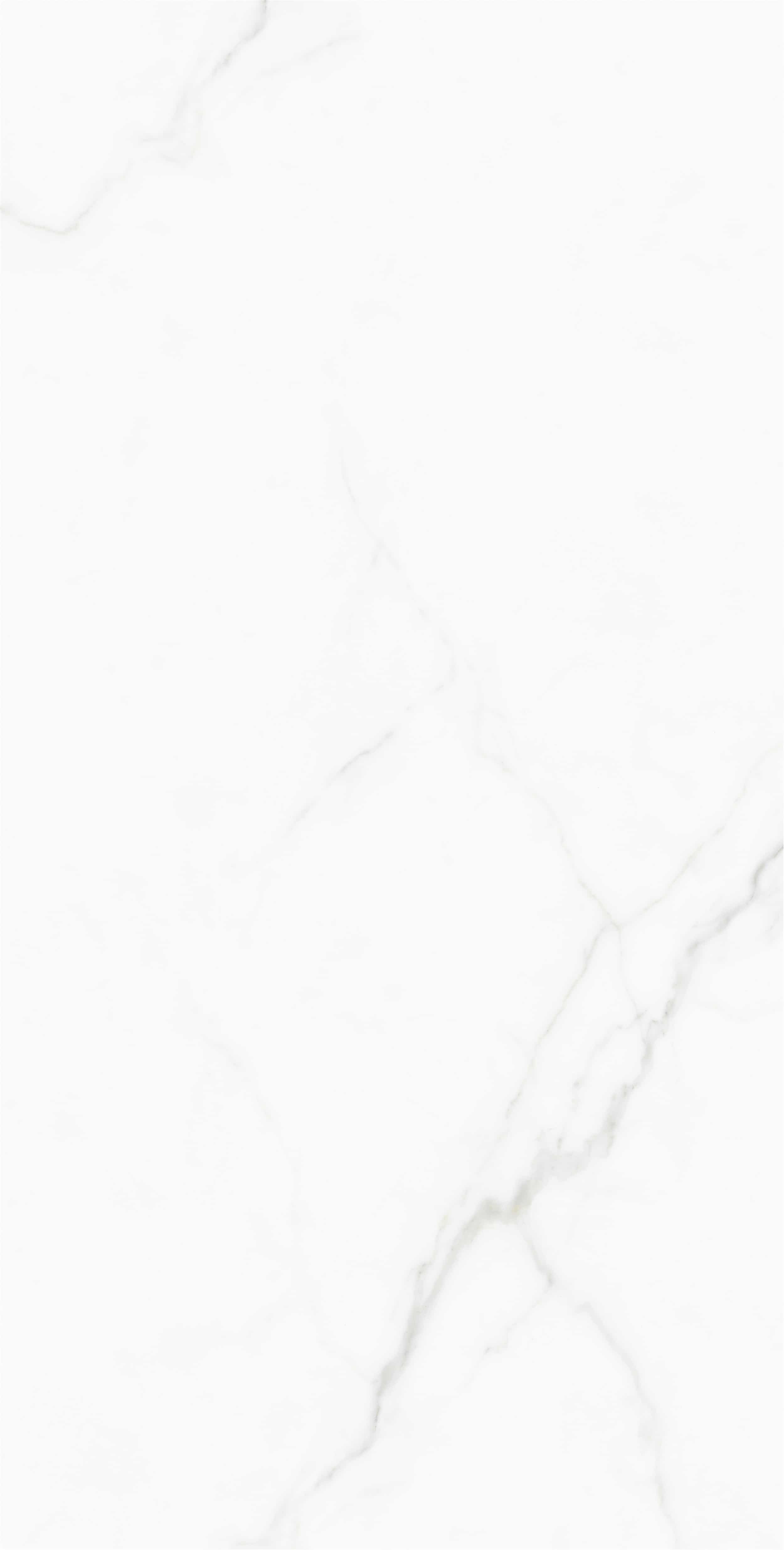 FV18945L_03